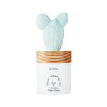 ROUND AROUND Cactus Diffuser [Honey Bunny Cactus] 100ml