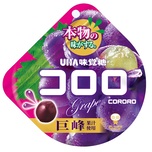 Cororo Grape Juice Soft Candy 48g